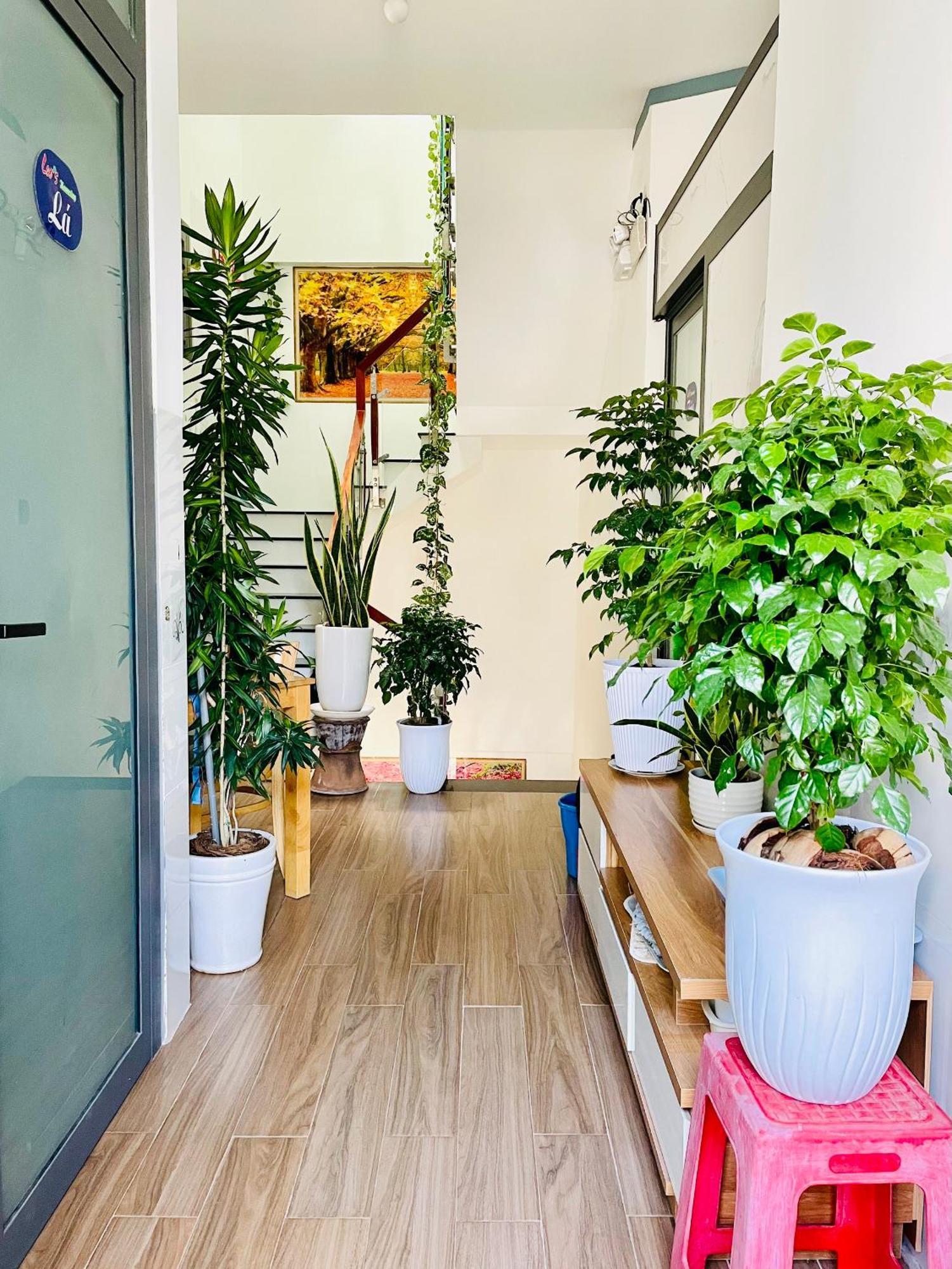 Leo'S Homestay فان رانغ المظهر الخارجي الصورة